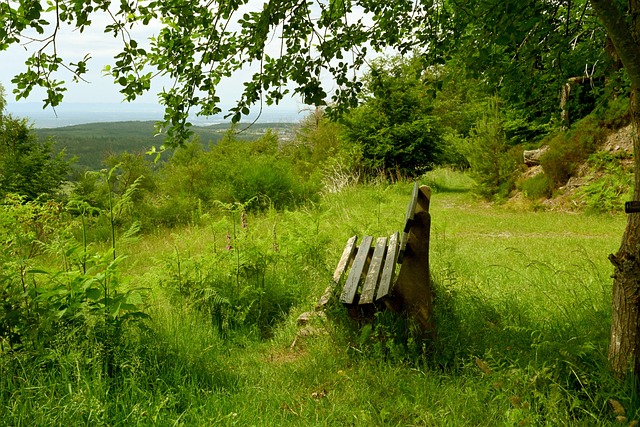 正是优秀内 正是优秀内