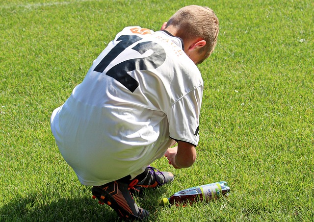 球迷和前輩 球迷和前輩