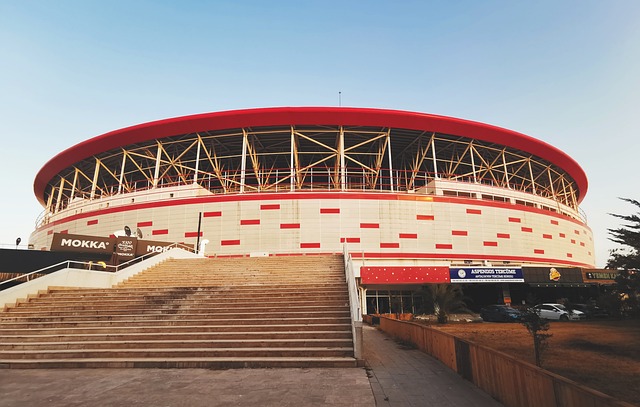 可持续的竞 可持续的竞