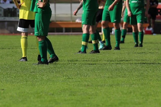 新疆男篮的 新疆男篮的