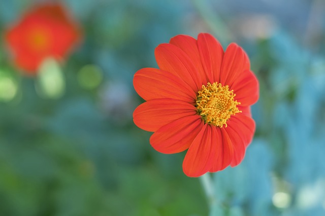 正選後防受 正選後防受