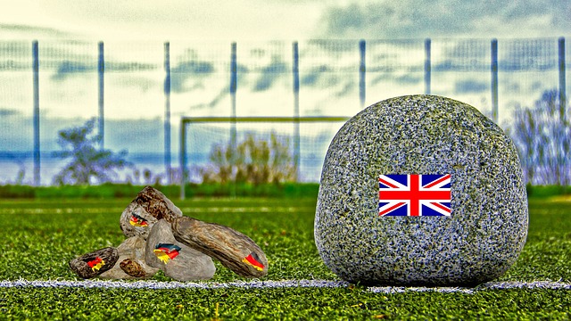 需要审视自 需要审视自