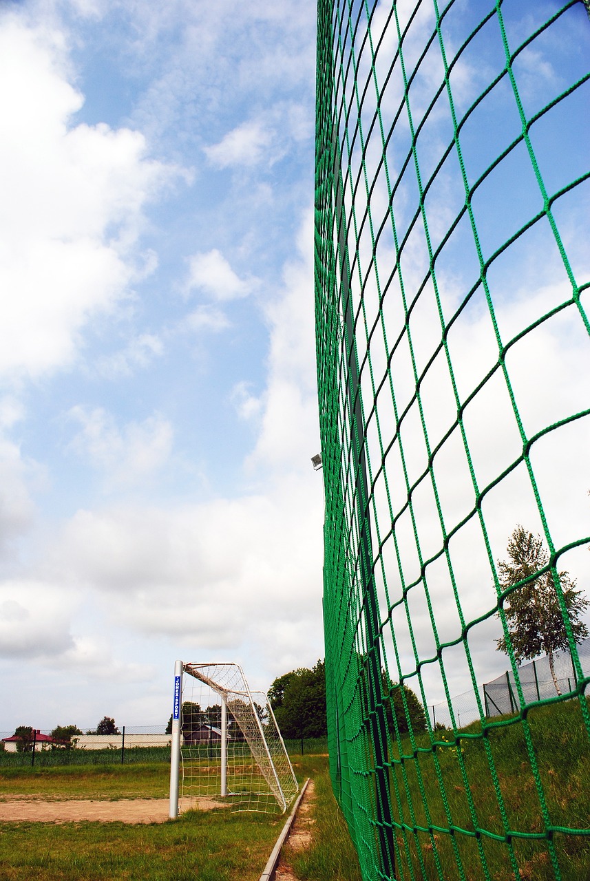 政策支持 政策支持