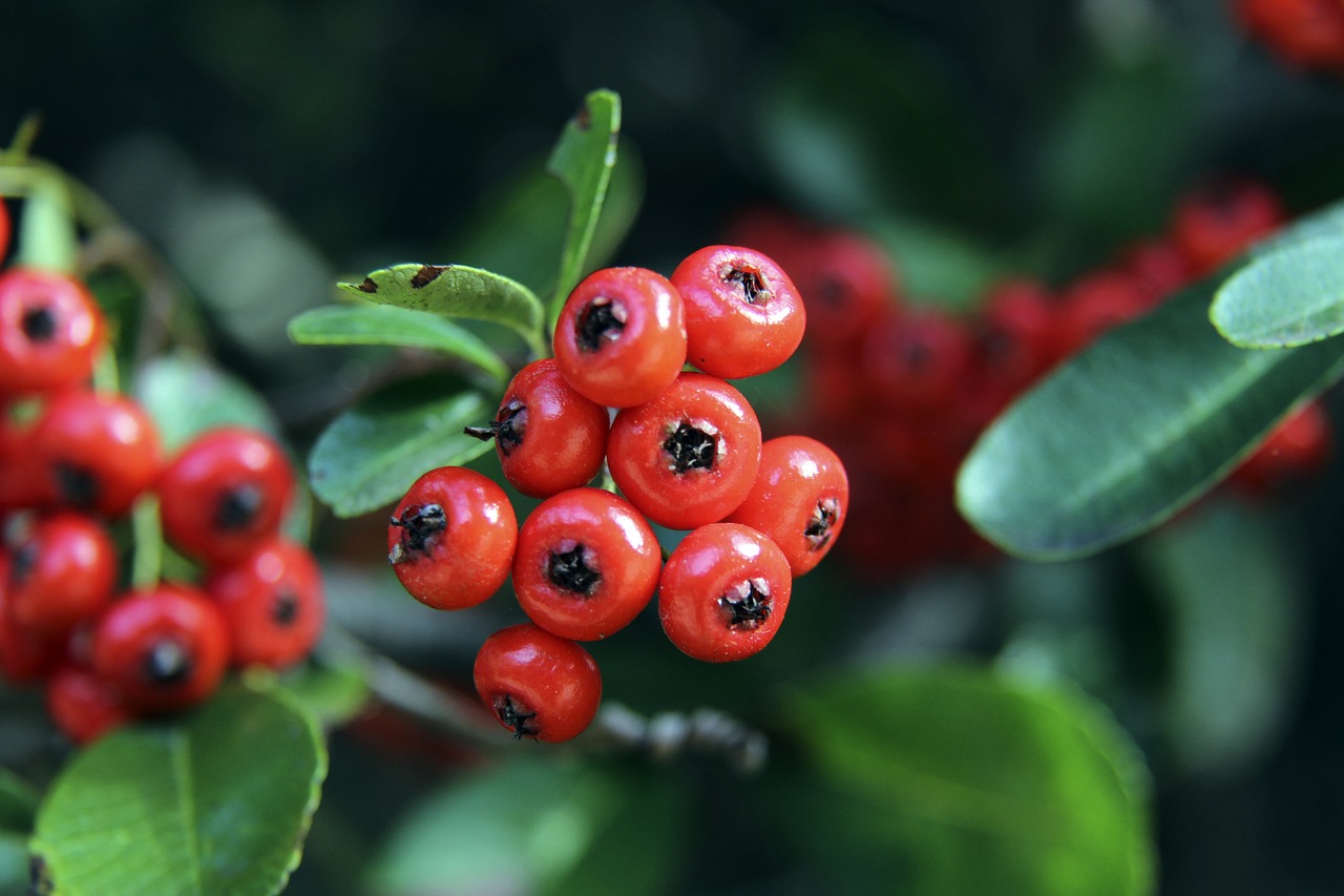 中超-海港3-1新鹏城登顶 尤萨破门古斯塔沃双响.